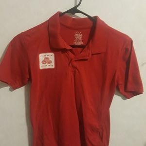 Handmade Halloween Costume State Farm